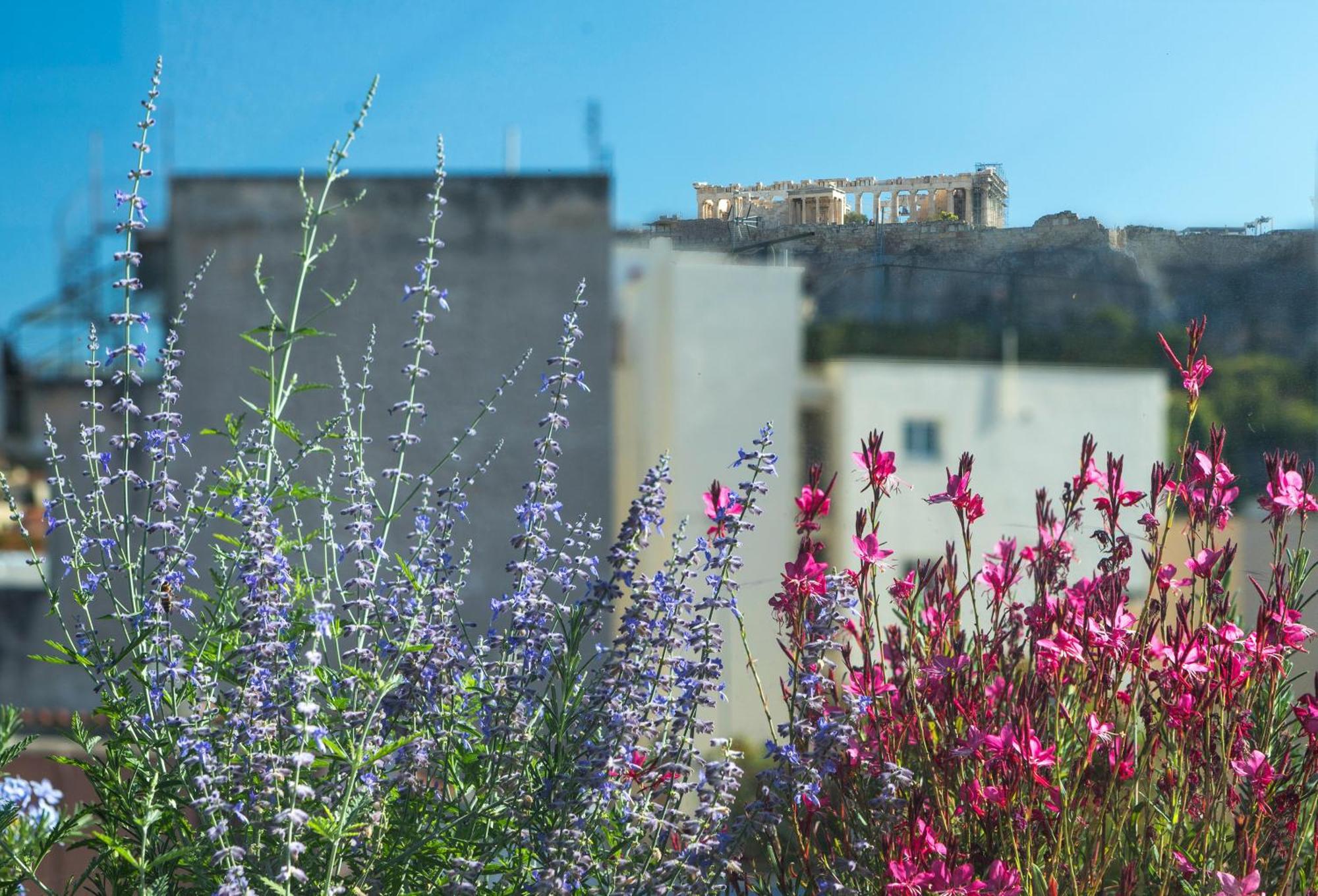 The Residence Christokopidou Hotel & Spa Athen Eksteriør billede